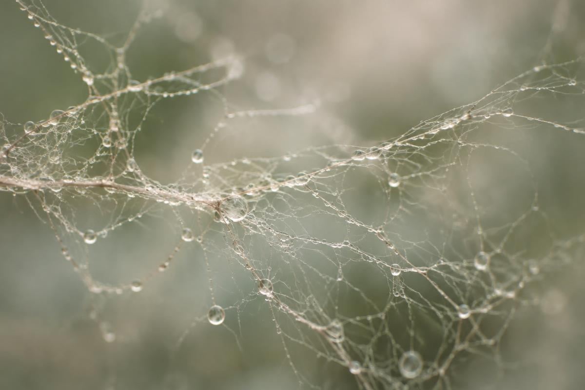 The Hidden Network Running Your Whole Body (And Why You Should Care)